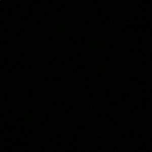 Meet your Posher, Zoe